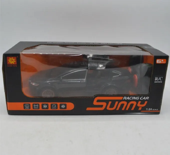 RC Sunny Racing Car